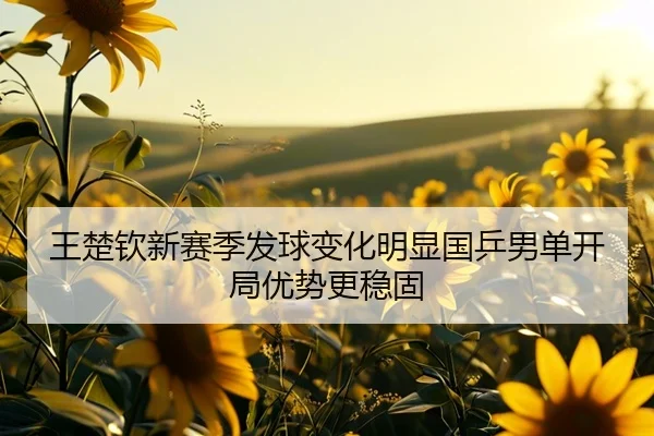 王楚钦新赛季发球变化明显国乒男单开局优势更稳固